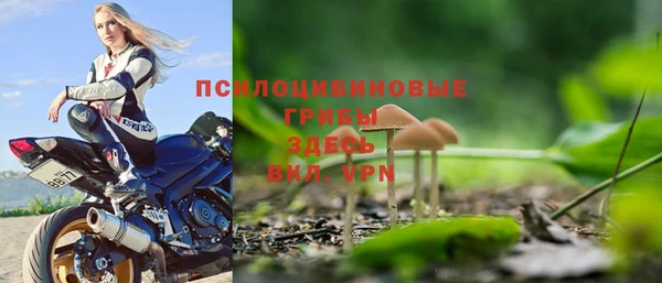 героин Алзамай